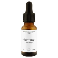 올팩토리 솔류블 오일, 1개, 20ml, Blessing