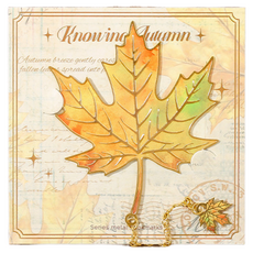 데일리온 간편한 북클립, 타입3, 1개