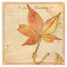 데일리온 간편한 북클립, 타입4, 1개