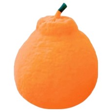 제주도 한라봉 말랑이 장난감, 오렌지, 95g, 1개