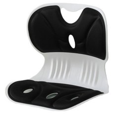 와이즈픽 초경량 바른자세 쿠션의자 S(31 x 28 x 26 cm), 블랙