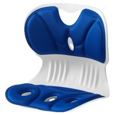 와이즈픽 초경량 바른자세 쿠션의자 L(35 x 33 x31 cm), 블루