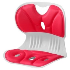 와이즈픽 초경량 바른자세 쿠션의자 L(35 x 33 x31 cm), 레드