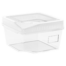 랜보어 파충류 소형 사육장 155 x 155 x 110 mm, 화이트, 1개
