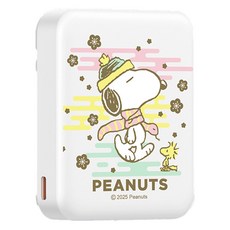 PEANUTS 史努比 魔方三合一無線充行動電源 5000mAh Type-C, 彩虹蛇, PSN-155