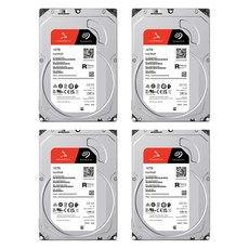 씨게이트 IronWolf NAS HDD 패키지 4p, 16TB, ST16000VN001