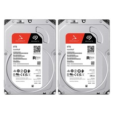 씨게이트 IronWolf NAS HDD 패키지 2p, 8TB, ST8000VN002