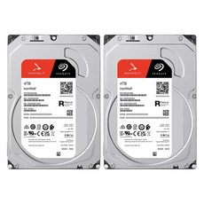 씨게이트 IronWolf NAS HDD 패키지 2p, 4TB, ST4000VN006