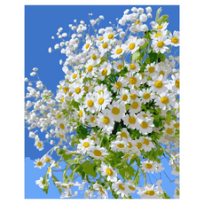 Monojent DIY繪畫Pipo繪畫名畫繪畫花, 1組, Type F