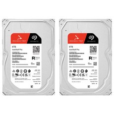 씨게이트 IronWolf PRO NAS용 HDD 2p, 6TB, ST6000NT001