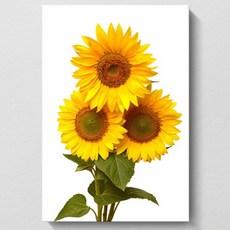 Lumion 招來福氣的向日葵畫框, 無框