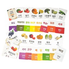 플레이맥스 첫만남 낱말카드 야채과일편 36종 + 보관가방 세트, 화이트 외, 1세트