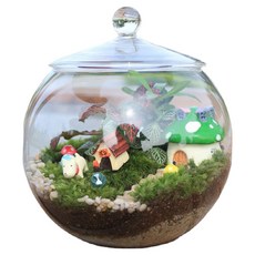 루나벨 유리 테라리움, 투명, 1개
