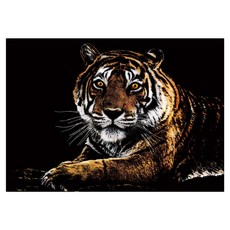 알로데 동물 시리즈 스크래치 페인팅 세트, 06 호랑이, 1세트