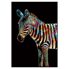 Allode 動物系列刮畫套組, 1套, 01 斑馬