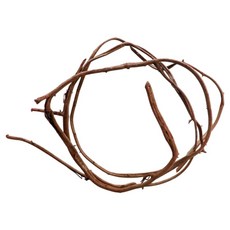 Mimineaqua 爬蟲類叢林籐蔓木本 40~50cm, 1個, 隨機出貨