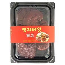 몸애조화 영지버섯, 1개, 170g