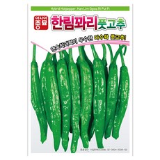 아시아종묘 한림꽈리풋고 씨앗 700립, 1개
