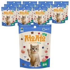 캐츠랑 고양이 저요저요 덴탈 간식, 참치, 60g, 12개