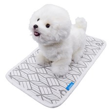 바디큐 강아지 듀라론 항균 냉감패드, 그레이, 1개