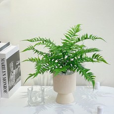 Floral M 花藝 仿真花 居家氛圍感波斯頓蕨綠植, 綠色, 1個