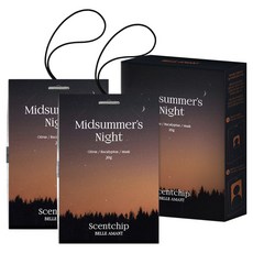 벨르아망 센트칩 차량용 사쉐 방향제 20g 2개입, 1개, 미드섬머나잇