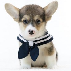 ZAZAZOO 經典水手領巾 附水手結, 深藍色, 1組