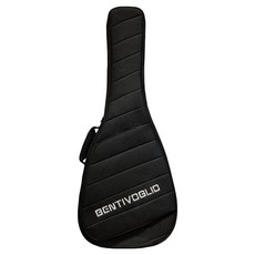 벤티볼리오 어쿠스틱 기타 케이스 PA1