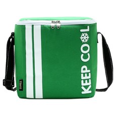 테이아 KEEP COOL 야외 피크닉 보냉가방, 그린, 10L