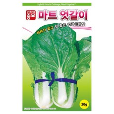 아시아종묘 마트 엇갈이 배추 씨앗 20g, 1개