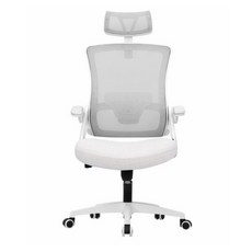 NeoChair 網布辦公椅 DBS-H, 象牙色