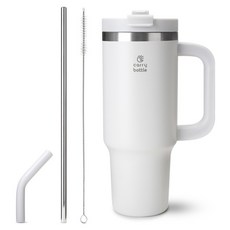 캐리보틀 써밋 텀블러, 코코넛 그레이, 900ml, 1개 코코넛 그레이, 900ml, 1개