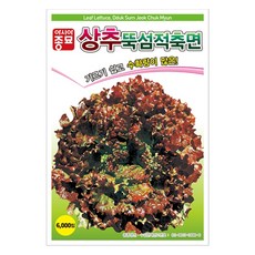 아시아종묘 상추 뚝섬적축면 씨앗 60 000립, 1개