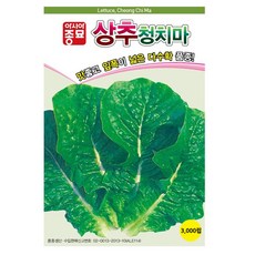 아시아종묘 상추 청치마 씨앗 3000p, 1개