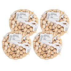 minhwashop 橡子陀螺 100入 I2400330, 4個, 混合顏色