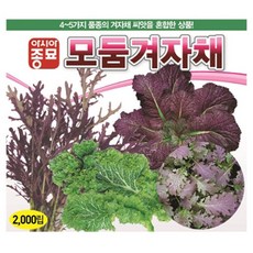 아시아종묘 씨앗 모둠겨자채 2000립, 1개 1개