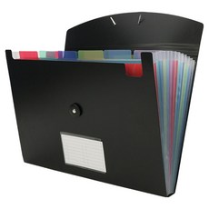 미소로운 서류 파일 보관 아코디언파일, 블랙(파일) + 컬러(속지), 1개
