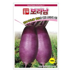 아시아종묘 보라남 무 씨앗 100립