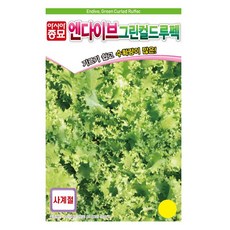 아시아종묘 엔다이브 그린컬드루펙 치커리 씨앗, 1개