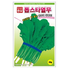 아시아종묘 톱스타 열무 씨앗 20g, 1개