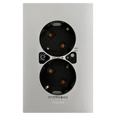 Legrand 羅格朗 Apela Simple待機電力自動斷電2孔插座 銀色, 1個