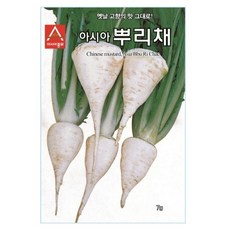 아시아종묘 갓 아시아뿌리채 씨앗 7g, 1개