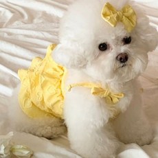 Puppy Dream 寵物愛心康康3層蕾絲無袖洋裝 + 蝴蝶結套組 10032, 1套, 黃色