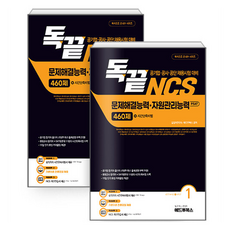 Aedeutubuksseu 獨終 NCS 問題解決能力·資源管理能力 460題 (公營企業·公社·公團招聘考試對策 自學完成PSAT) 全2冊