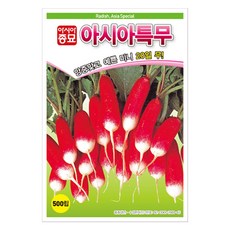 아시아종묘 아시아특무 씨앗 500p, 1개