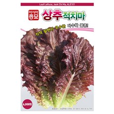 아시아종묘 상추 적치마 씨앗 6000립, 1개 1개