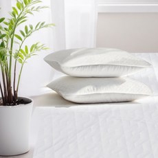 Haedeunmaru Smart Cool DURARON 涼感墊 + 枕頭套 2入組, 涼感墊+涼感枕頭套組, 白色