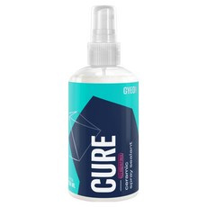 기온쿼츠 큐어 자동차 실란트 광택제 물왁스 발수 코팅제, 250ml, 1개