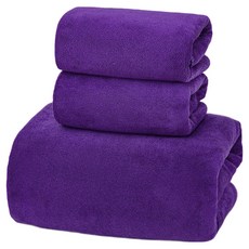 Ants 高密度超細纖維專業乾燥洗車巾 特大尺寸 + 中尺寸 2件組, 1套, 紫色