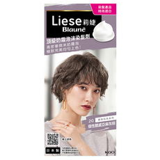 Liese 莉婕頂級奶霜泡沫染髮劑 輕鬆染髮 持久顯色 遮蓋白髮, 2G 個性酷感亞麻灰棕, 1盒